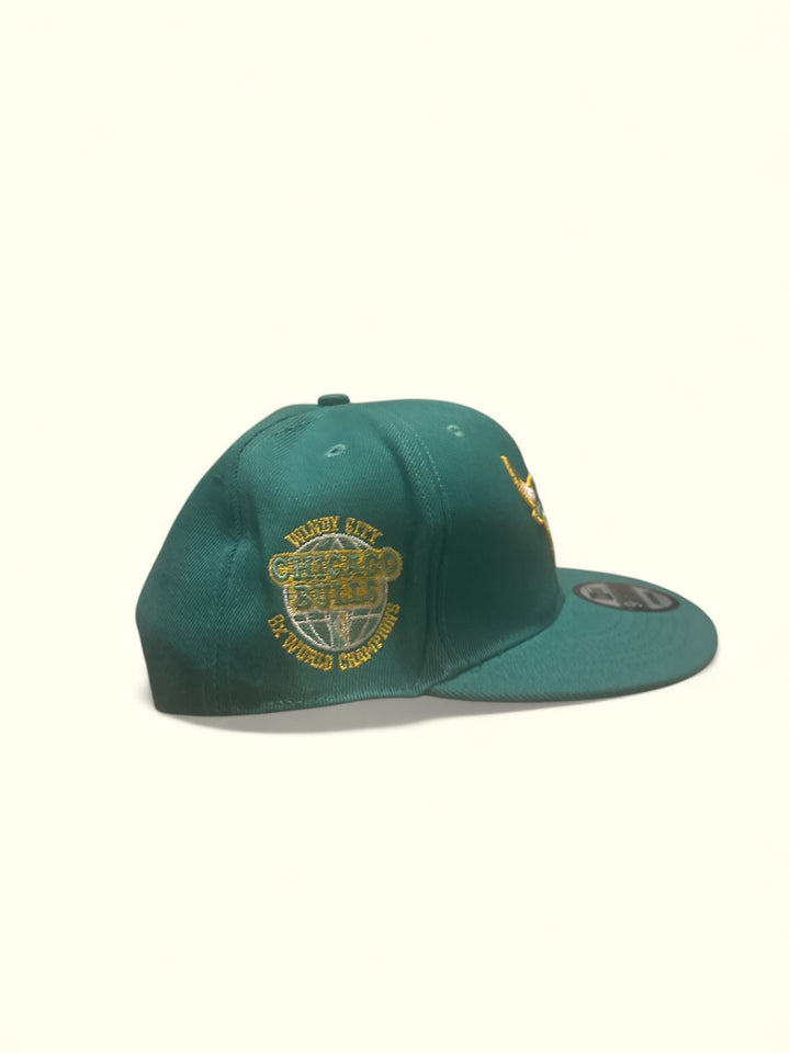Chicago Bulls fitted cap showcasing side view with embroidered logo details on a teal background.