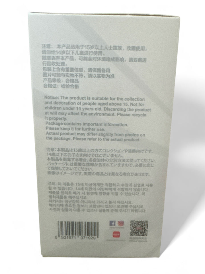 Labubu The Monsters blind box packaging featuring important product information and recycling instructions.
