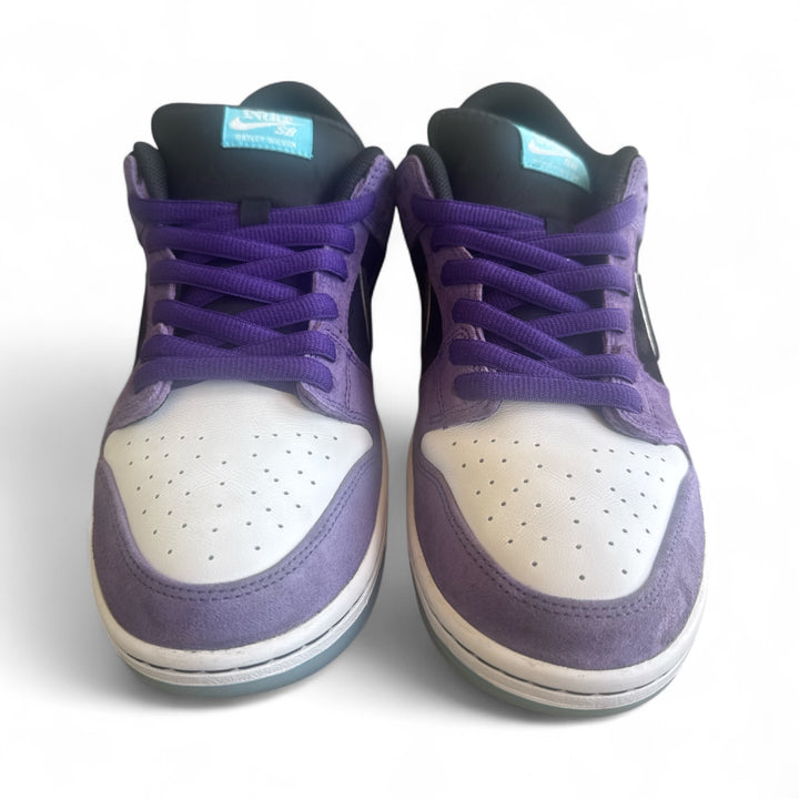 Nike SB Dunk Low Hayley Wilson
